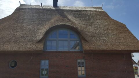 Fledermausgaube im Reetdach (Naturrohrdach) – Referenz 65
