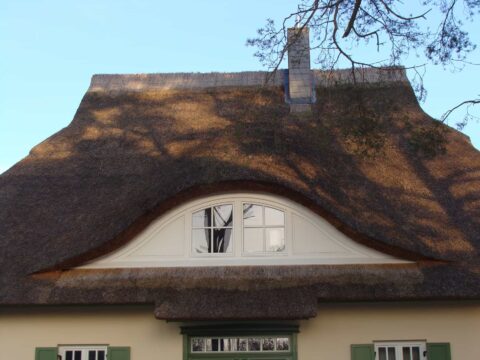 Fledermausgaube im Reetdach (Naturrohrdach) – Referenz 42