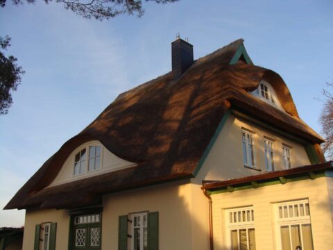 Fledermausgaube im Reetdach (Naturrohrdach) – Referenz 12