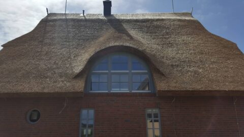 Fledermausgaube im Reetdach (Naturrohrdach) – Referenz 68