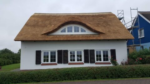 Fledermausgaube im Reetdach (Naturrohrdach) – Referenz 67