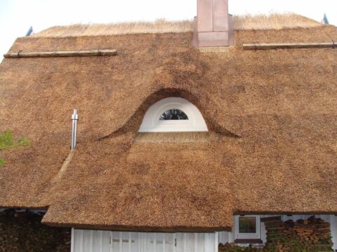 Fledermausgaube im Reetdach (Naturrohrdach) – Referenz 59