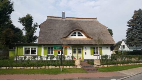 Fledermausgaube im Reetdach (Naturrohrdach) – Referenz 34