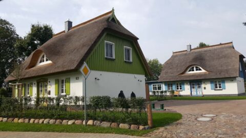 Fledermausgaube im Reetdach (Naturrohrdach) – Referenz 33