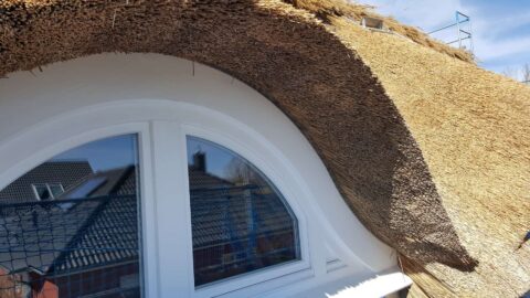 Fledermausgaube im Reetdach (Naturrohrdach) – Referenz 63