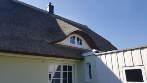 Fledermausgaube im Reetdach (Naturrohrdach) – Referenz 62