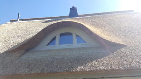 Fledermausgaube im Reetdach (Naturrohrdach) – Referenz 69