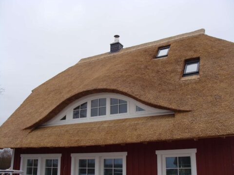 Fledermausgaube im Reetdach (Naturrohrdach) – Referenz 30