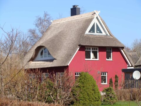 Fledermausgaube im Reetdach (Naturrohrdach) – Referenz 39