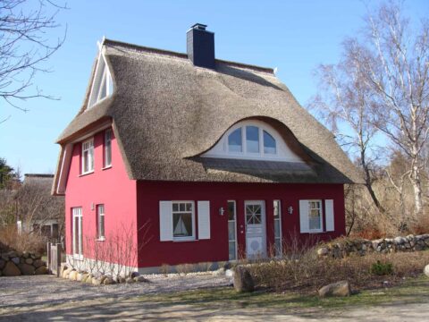 Fledermausgaube im Reetdach (Naturrohrdach) – Referenz 27