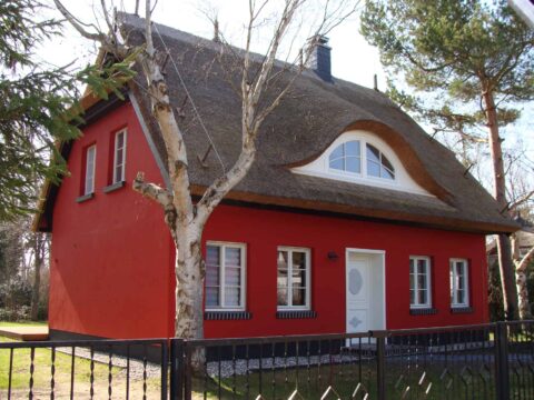 Fledermausgaube im Reetdach (Naturrohrdach) – Referenz 51