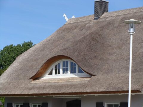 Fledermausgaube im Reetdach (Naturrohrdach) – Referenz 60