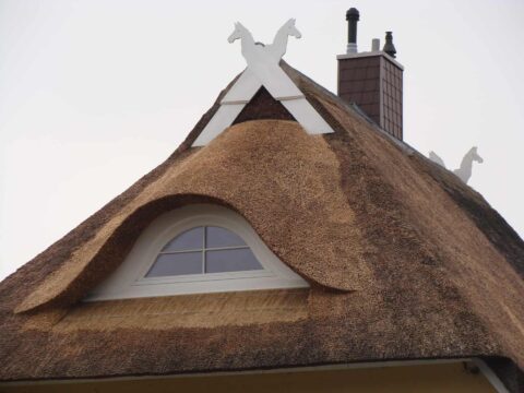 Fledermausgaube im Reetdach (Naturrohrdach) – Referenz 48