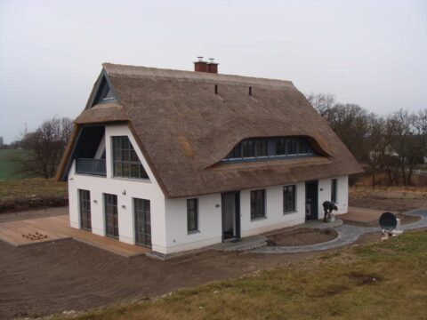 Fledermausgaube im Reetdach (Naturrohrdach) – Referenz 10