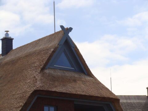 Fledermausgaube im Reetdach (Naturrohrdach) – Referenz 44
