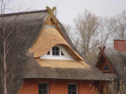 Fledermausgaube im Reetdach (Naturrohrdach) – Referenz 41