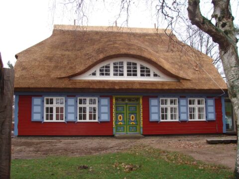 Fledermausgaube im Reetdach (Naturrohrdach) – Referenz 15